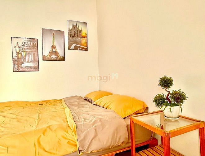 Hình ảnh Siêu phẩm Studio balcon khu vực trung tâm