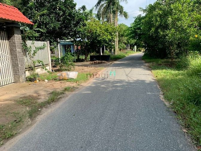 Hình ảnh Gần 1000m² đất trồng cây 300 thổ cư 1set TL 7 giá 6,29tỷ