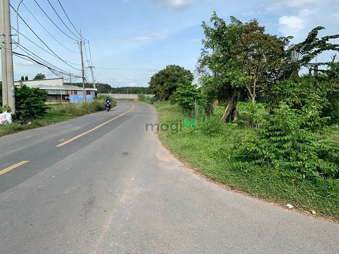 Hình ảnh Gần 1000m² đất trồng cây 300 thổ cư 1set TL 7 giá 6,29tỷ