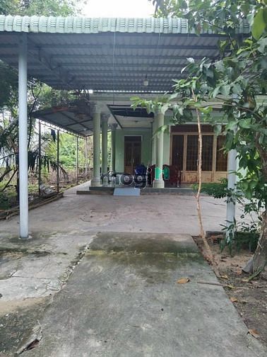 Hình ảnh Gần 1000m² đất trồng cây 300 thổ cư 1set TL 7 giá 6,29tỷ