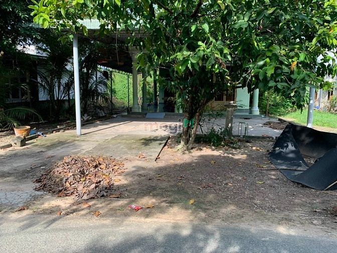Hình ảnh Gần 1000m² đất trồng cây 300 thổ cư 1set TL 7 giá 6,29tỷ