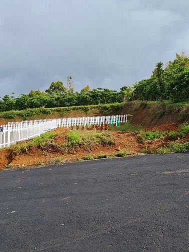 Hình ảnh Bán đất Biệt Thự Bảo Lộc chính chủ!