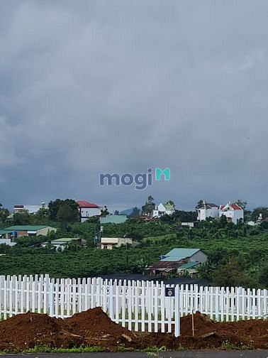 Hình ảnh Bán đất Biệt Thự Bảo Lộc chính chủ!