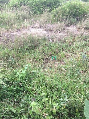 Hình ảnh em bán đất nền khu vực hàm liêm giá tốt