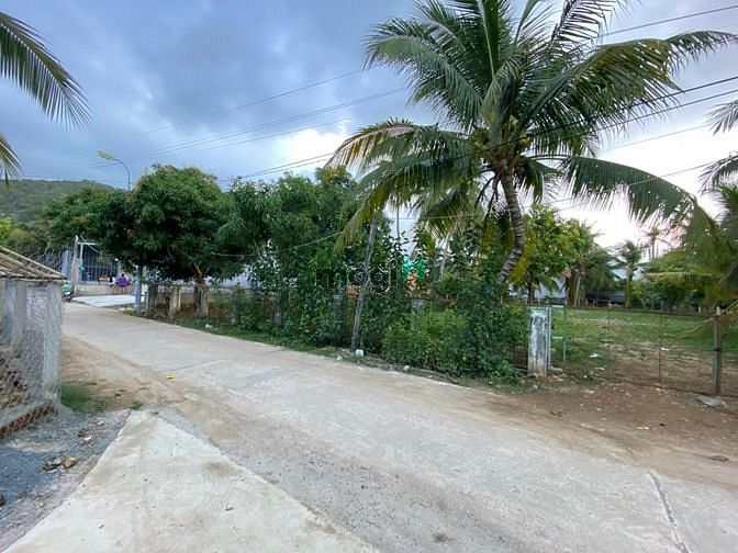 Hình ảnh Bán Lô Đất 1500m Đường Đắc Tân. Đắc Lộc 1. Vĩnh Phương