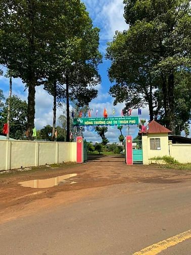 Hình ảnh Đất Đầu Cư Giá Rẻ -Tiềm Năng Cao
