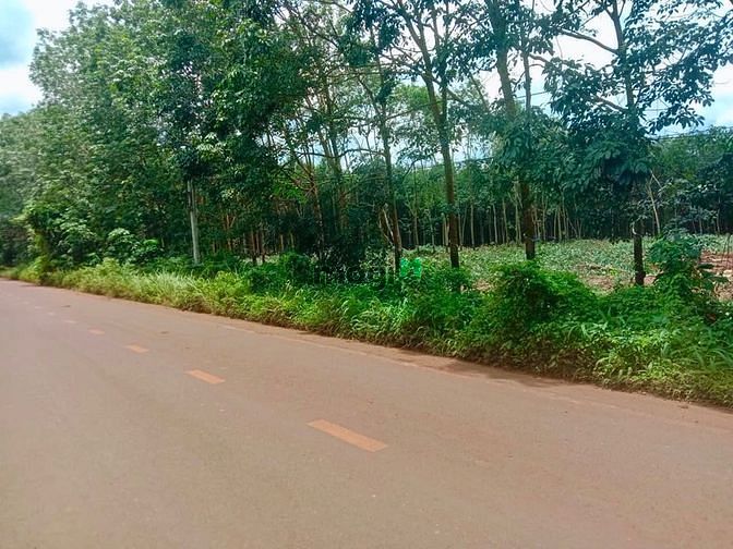 Hình ảnh Đất Đầu Cư Giá Rẻ -Tiềm Năng Cao