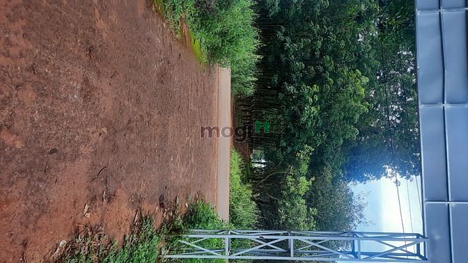 Hình ảnh 25x40m 2Mặt tiền, DT758, TP Đồng Xoài