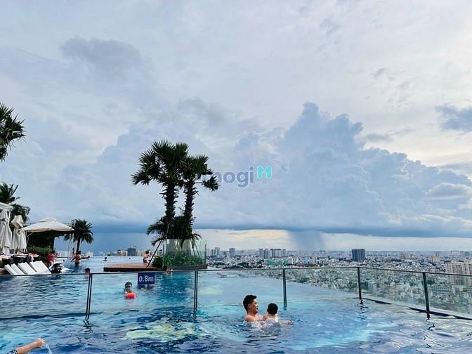 Hình ảnh TERRA ROYAL - cho thuê căn 2pn2wc full ở ngay 22tr bao PQL