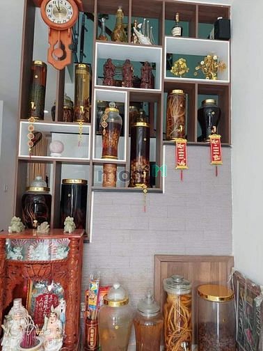 Hình ảnh 5TỶ3-48M2 Trường Chinh-TÂN PHÚ-Hẻm 6m