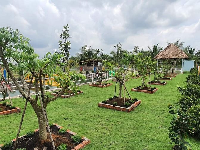 Hình ảnh Nhà vườn, ao cá Bình Chánh 1400m2, 3.5 tỷ