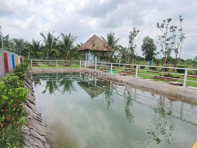Hình ảnh Nhà vườn, ao cá Bình Chánh 1400m2, 3.5 tỷ