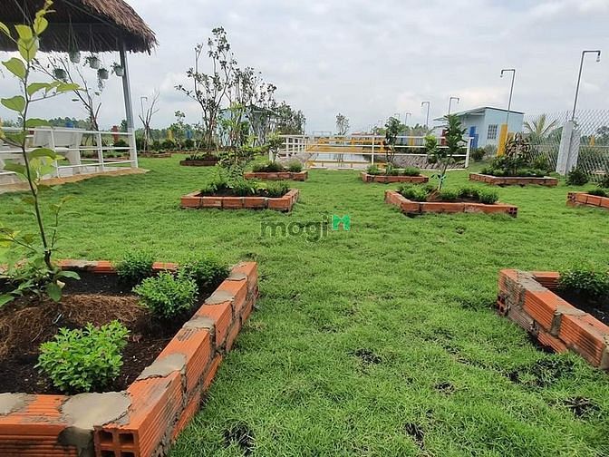 Hình ảnh Nhà vườn, ao cá Bình Chánh 1400m2, 3.5 tỷ