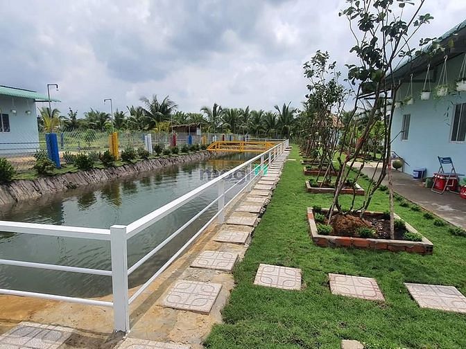 Hình ảnh Nhà vườn, ao cá Bình Chánh 1400m2, 3.5 tỷ
