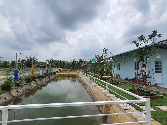 Hình ảnh Nhà vườn, ao cá Bình Chánh 1400m2, 3.5 tỷ
