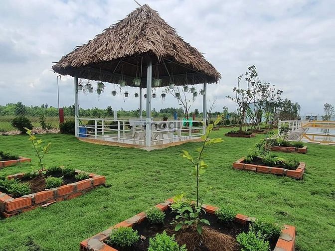 Hình ảnh Nhà vườn, ao cá Bình Chánh 1400m2, 3.5 tỷ
