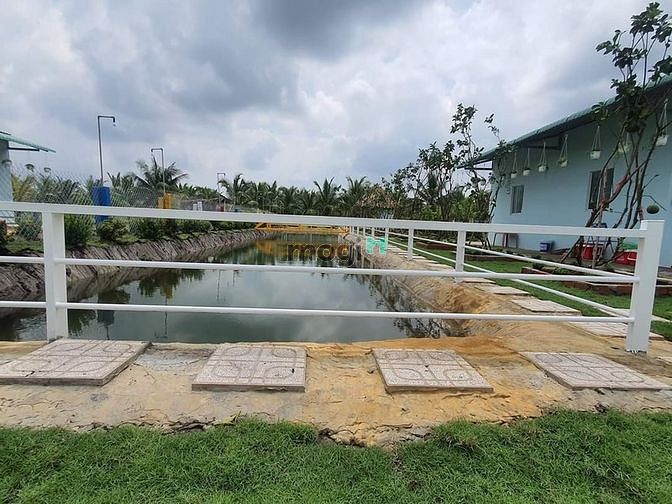 Hình ảnh Nhà vườn, ao cá Bình Chánh 1400m2, 3.5 tỷ