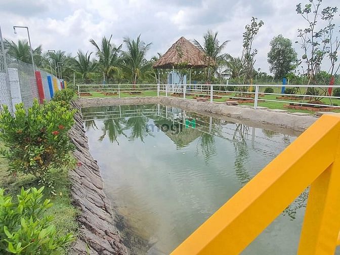 Hình ảnh Nhà vườn, ao cá Bình Chánh 1400m2, 3.5 tỷ