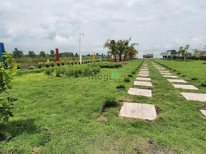 Hình ảnh Nhà vườn, ao cá Bình Chánh 1400m2, 3.5 tỷ