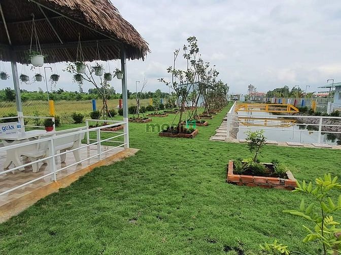 Hình ảnh Nhà vườn, ao cá Bình Chánh 1400m2, 3.5 tỷ