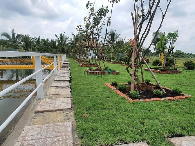 Hình ảnh Nhà vườn, ao cá Bình Chánh 1400m2, 3.5 tỷ