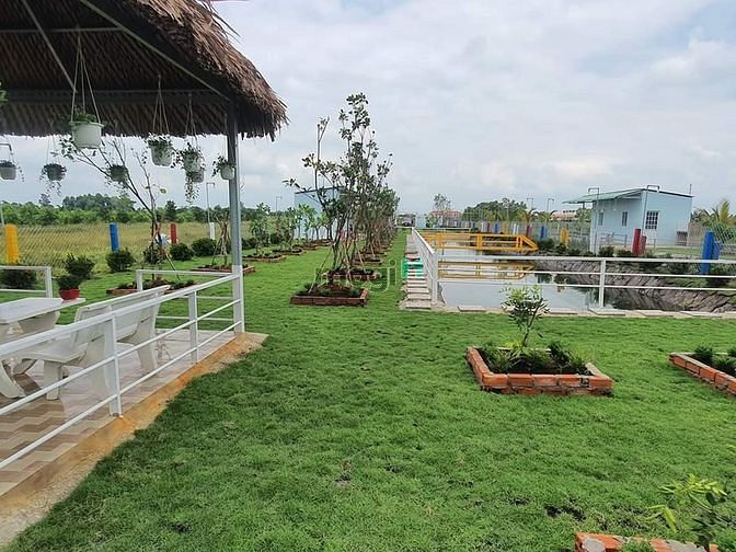 Hình ảnh Nhà vườn, ao cá Bình Chánh 1400m2, 3.5 tỷ
