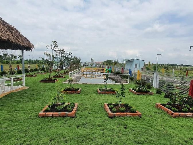 Hình ảnh Nhà vườn, ao cá Bình Chánh 1400m2, 3.5 tỷ