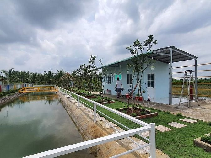 Hình ảnh Nhà vườn, ao cá Bình Chánh 1400m2, 3.5 tỷ