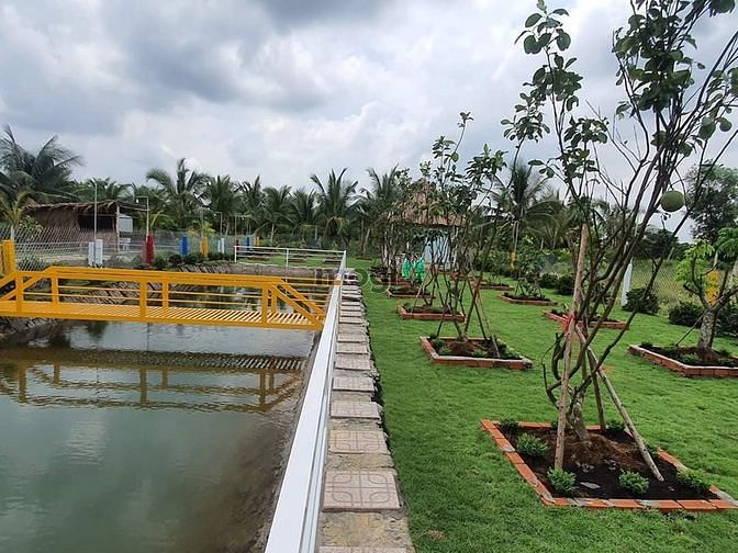 Hình ảnh Nhà vườn, ao cá Bình Chánh 1400m2, 3.5 tỷ
