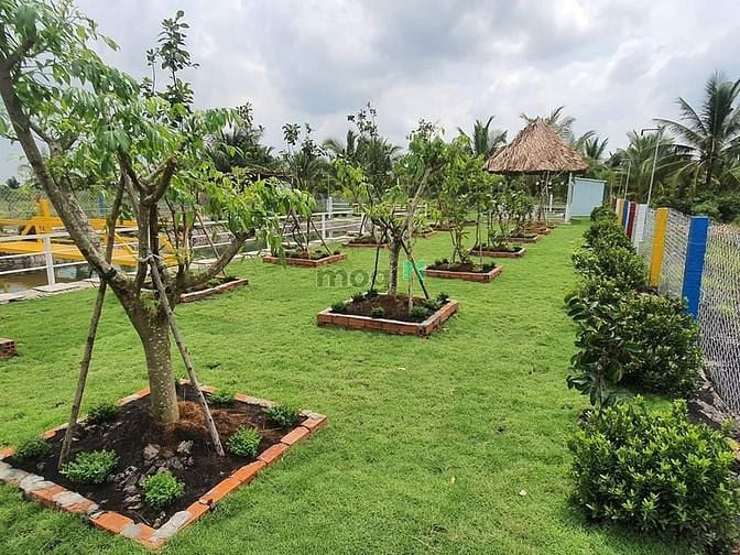 Hình ảnh Nhà vườn, ao cá Bình Chánh 1400m2, 3.5 tỷ