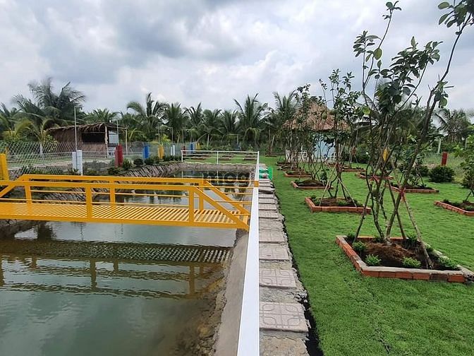 Hình ảnh Nhà vườn, ao cá Bình Chánh 1400m2, 3.5 tỷ