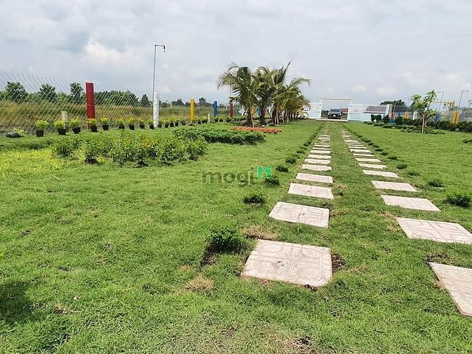 Hình ảnh Nhà vườn, ao cá Bình Chánh 1400m2, 3.5 tỷ