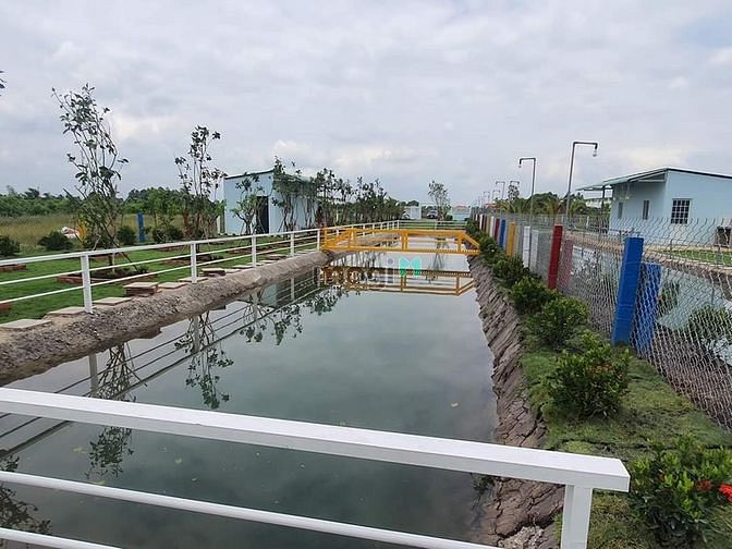 Hình ảnh Nhà vườn, ao cá Bình Chánh 1400m2, 3.5 tỷ