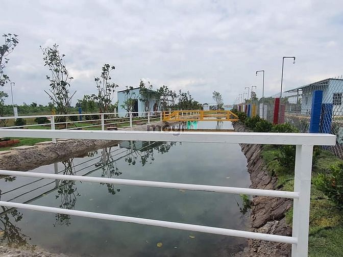 Hình ảnh Nhà vườn, ao cá Bình Chánh 1400m2, 3.5 tỷ
