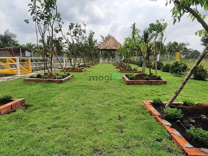 Hình ảnh Nhà vườn, ao cá Bình Chánh 1400m2, 3.5 tỷ
