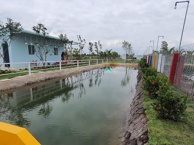 Hình ảnh Nhà vườn, ao cá Bình Chánh 1400m2, 3.5 tỷ