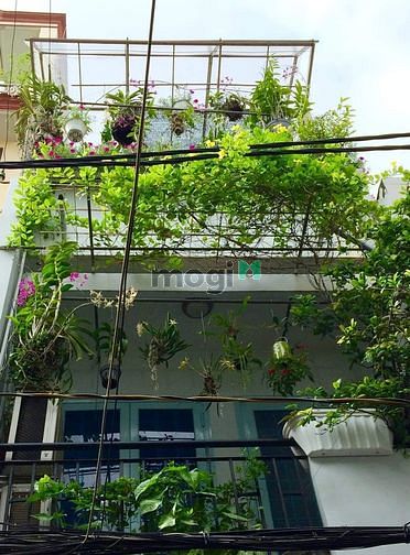 Hình ảnh Nhà Đẹp lung linh, bán gấp,cách mạng tháng tám P5,Tân Bình