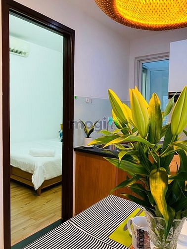 Hình ảnh Mb6623 nạp rút nhanh chóng 1PN riêng biệt, Ban công Huỳnh Tịnh Của Q3, Thang Máy