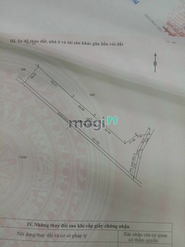 Hình ảnh 🏜TIỆN PHÂN LÔ_GIÁ ĐẦU TƯ_Bán 1.5Ha đất sào Minh Hòa, Dầu Tiếng.