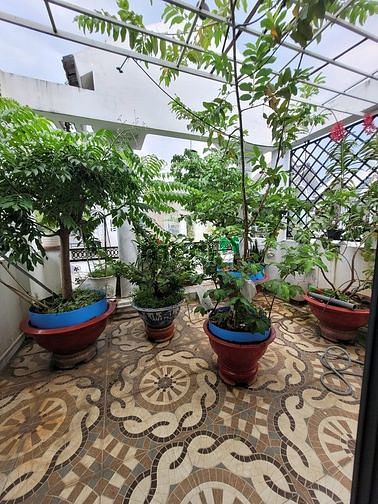 Hình ảnh Bán căn nhà cạnh E-mart Gò Vấp