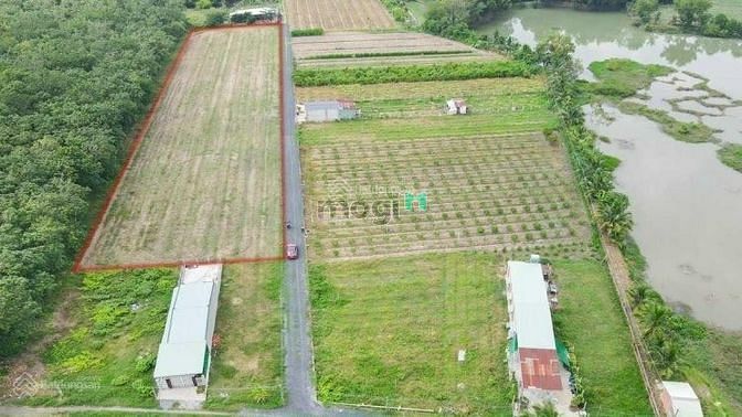 Hình ảnh Bán lô đất gần chợ Thạnh Tân giá chỉ 2tr8/m2 view Núi Bà