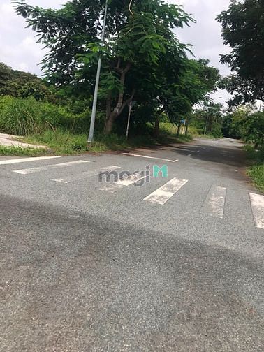 Hình ảnh Ra nhanh lô full đất thổ cư Bùi Đình Tuý, DT 95m2/2,5tỷ, sổ hồng riêng