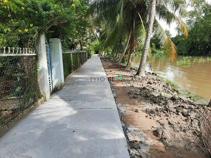Hình ảnh Bán đất mặt tiền kênh 1000, view sông mát mẻ
