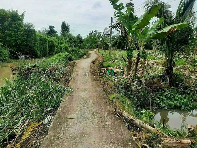 Hình ảnh Bán đất 2 mặt tiền view sông Ô Môn
