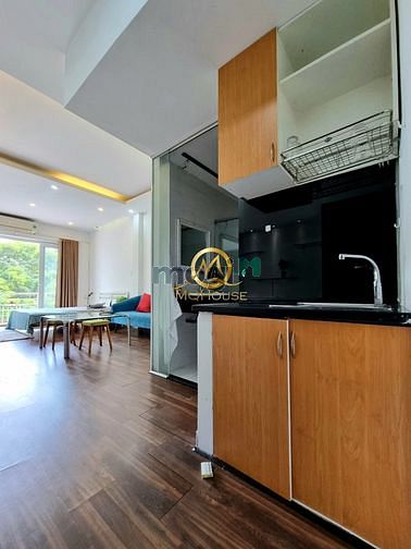 Hình ảnh Căn Hộ FullNT Ban Công Thoáng Mát ngay Dinh Độc Lập