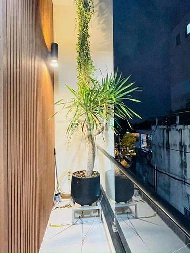 Hình ảnh Chủ cần vốn gửi bán nhà hẻm 58.6m2 Trần Phú, Q5