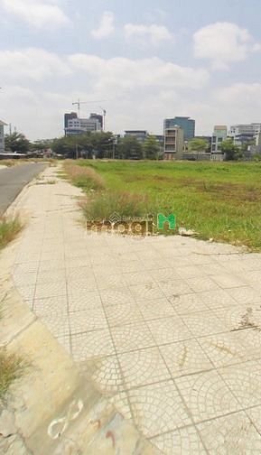 Hình ảnh Đất nền dự án KDC Savico đường Gò Dưa - Tam Bình, Thủ Đức, sổ riêng