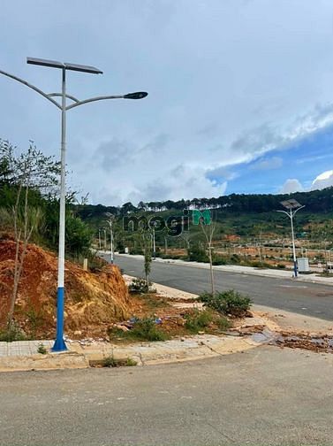Hình ảnh Bán đất View Rừng thông Vạn Xuân 116m – 4 tỷ, Lạc Dương, Đà Lạt