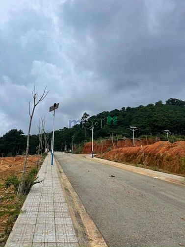 Hình ảnh Bán đất View Rừng thông Vạn Xuân 116m – 4 tỷ, Lạc Dương, Đà Lạt