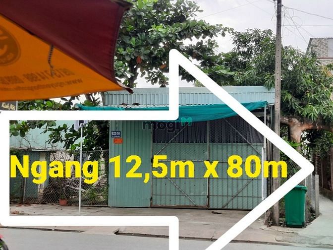 Hình ảnh Bán đất mặt tiền đường Hoàng Phan Thái, Bình Chánh